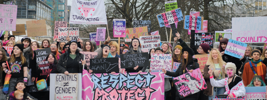A diverse group of feminists posed for a photo in front of Plymouth City Centre's Royal Parade Pond, holding signs with political statements.
